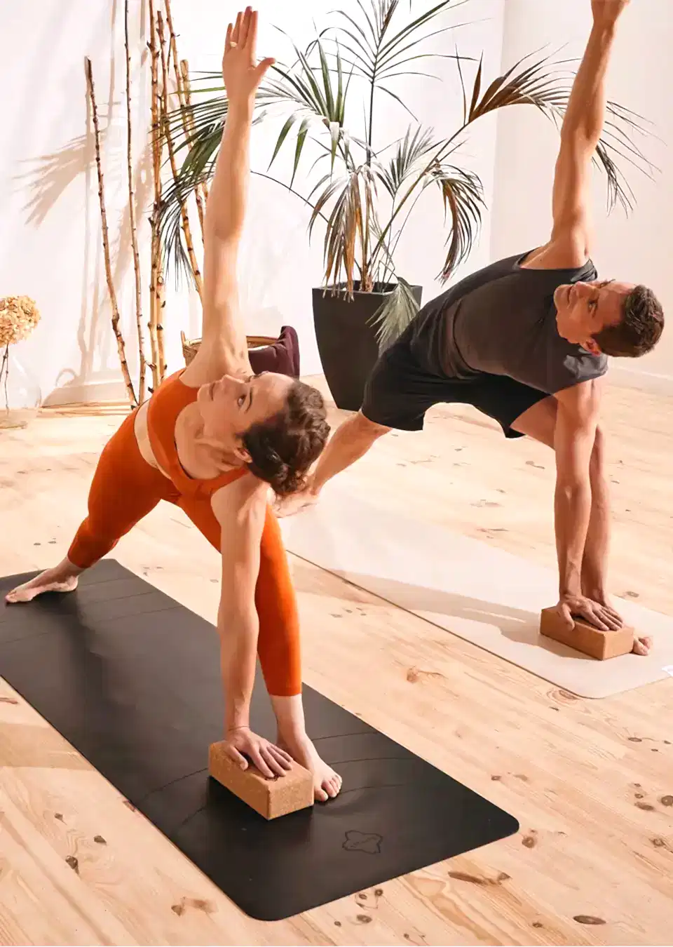 Ashtanga yoga